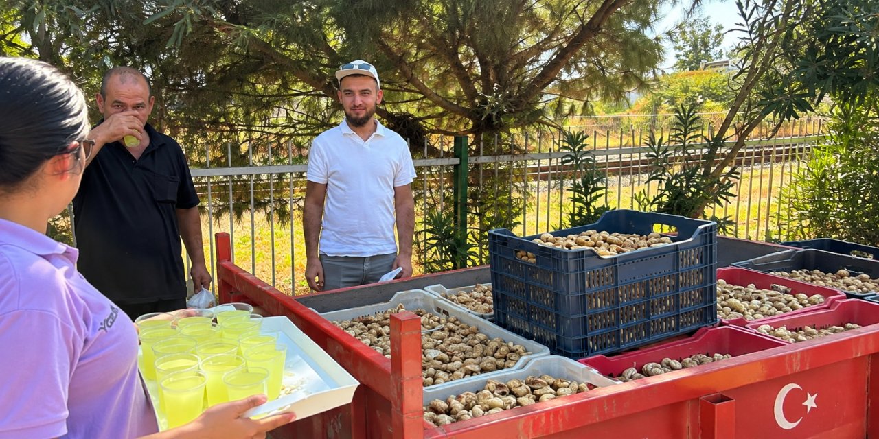 Başkan Zencirci, incir üreticilerini yalnız bırakmadı