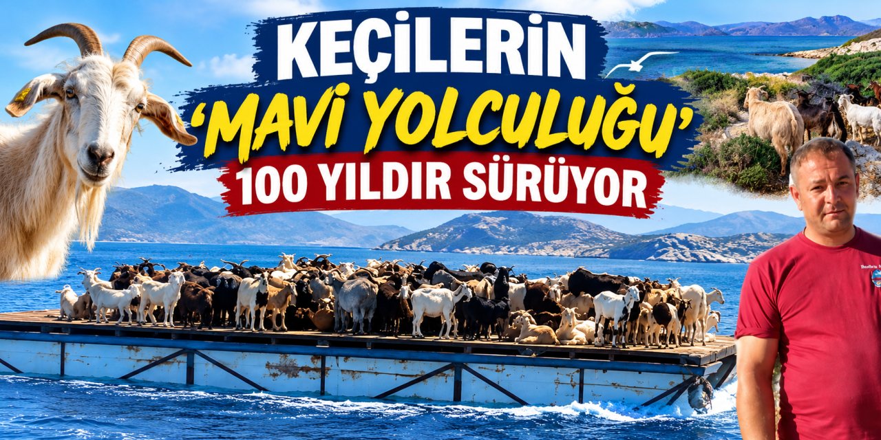Keçilerin ’Mavi yolculuğu’ 100 yıldır sürüyor