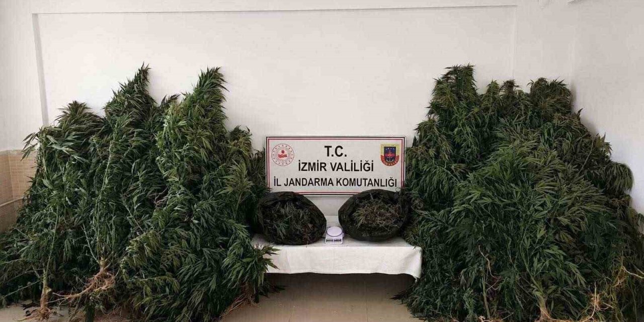 İzmir’de zehir tacirlerine ’drone’ destekli operasyon: 13,4 kilo esrar ele geçirildi