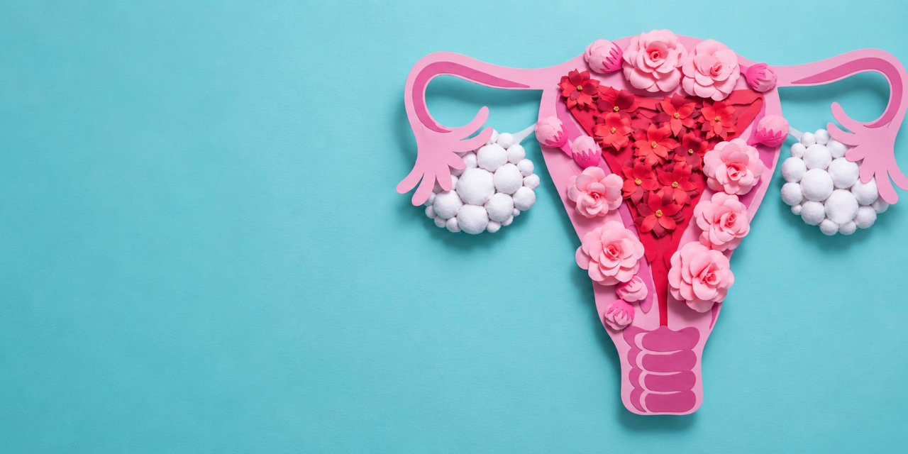 Kadınlar neden genital estetiği tercih ediyor?