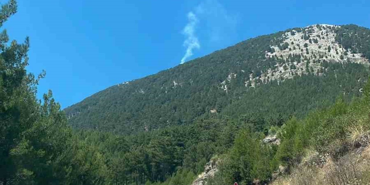 Fethiye’de orman yangını