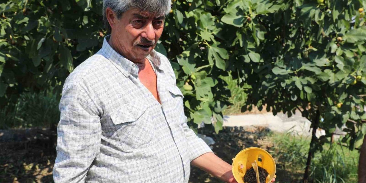 Muğla’da üreticinin emeğine çevre dostu koruma