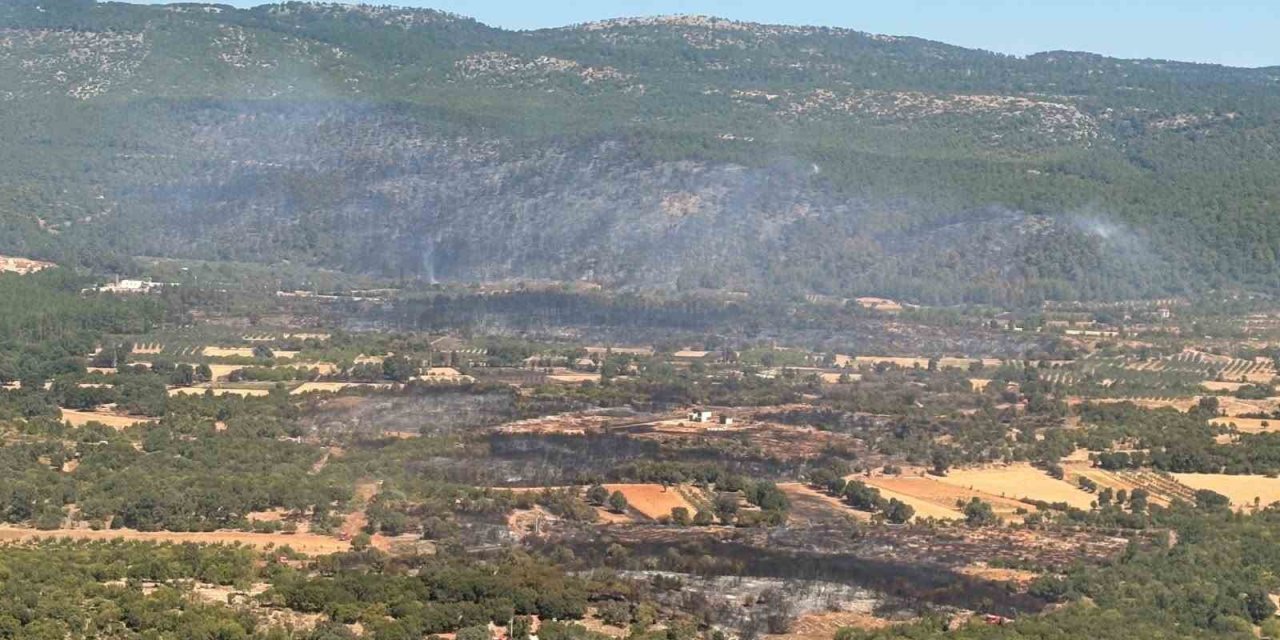 Muğla’daki yangına 90 saniyede 15 ton su bıraktılar