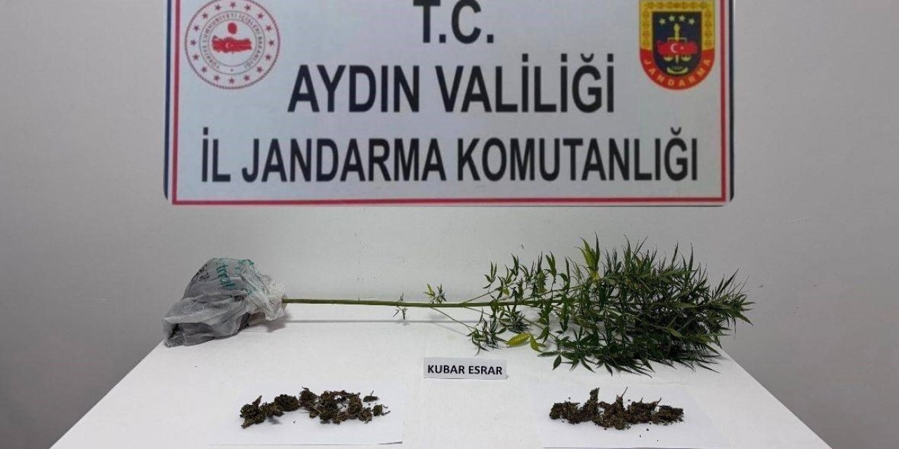 Söke’de narkotik köpeği destekli operasyonda uyuşturucu madde ele geçirildi