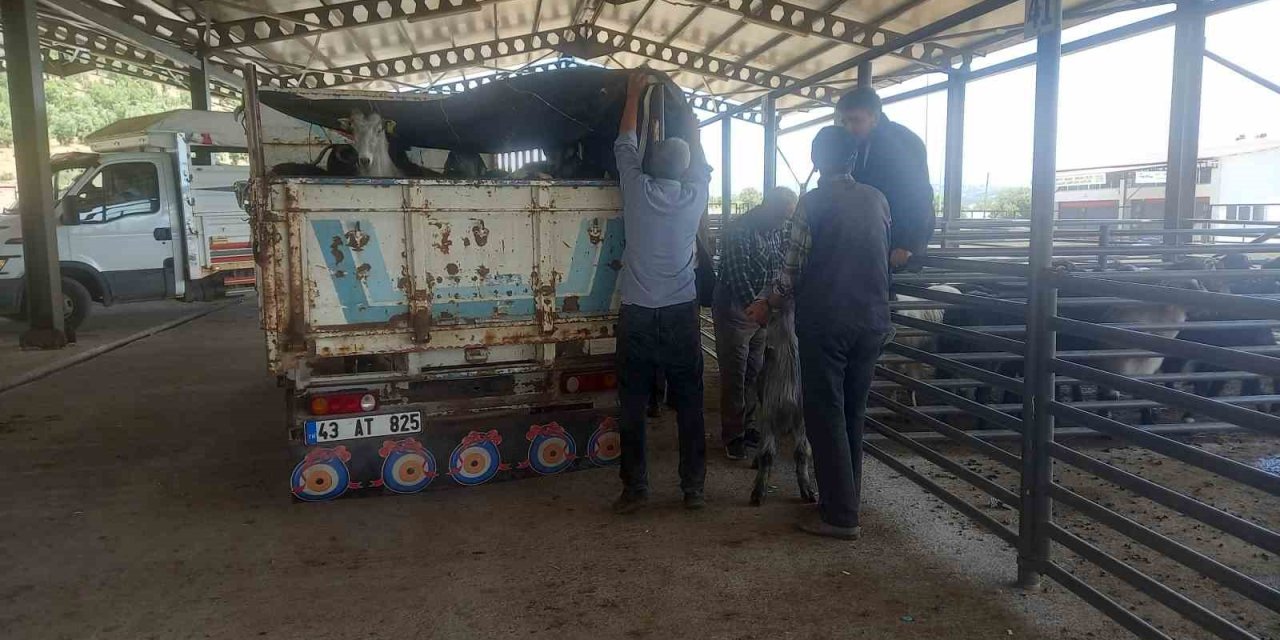 Gediz Belediyesi hayvan pazarı pazartesi günleri kurulacak