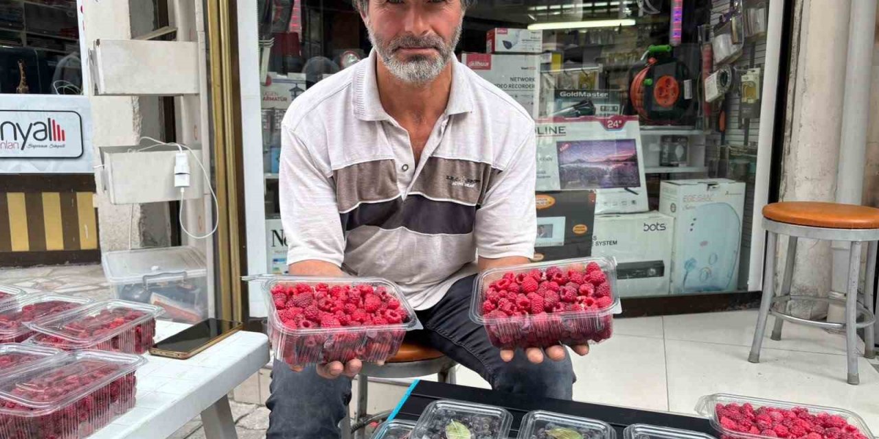 Kıraç arazileri aronya ve ahududugil yetiştirerek değerlendirdi