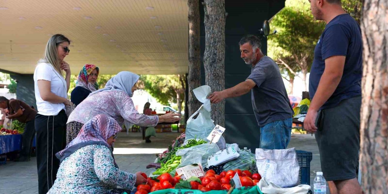 Hacıömerli’de salı pazarı bereketi