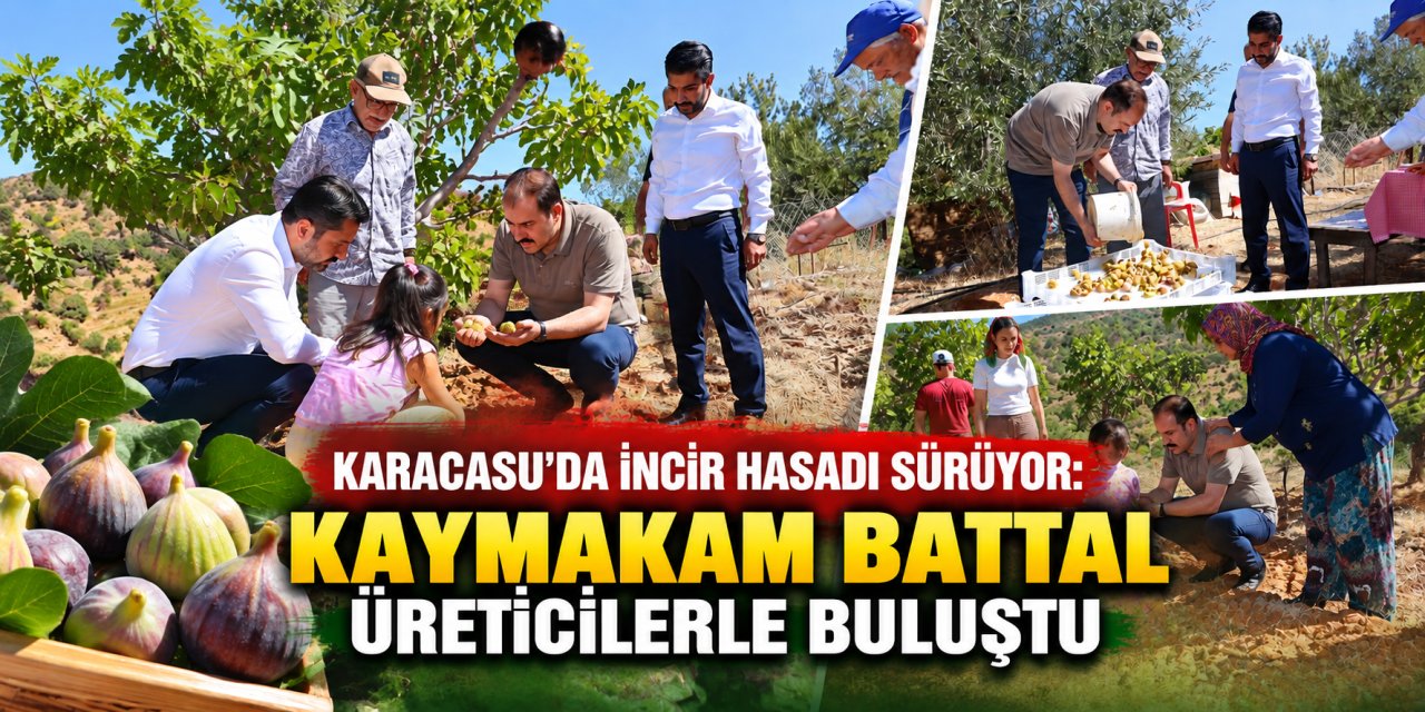 Karacasu’da incir hasadı sürüyor: Kaymakam Battal üreticilerle buluştu