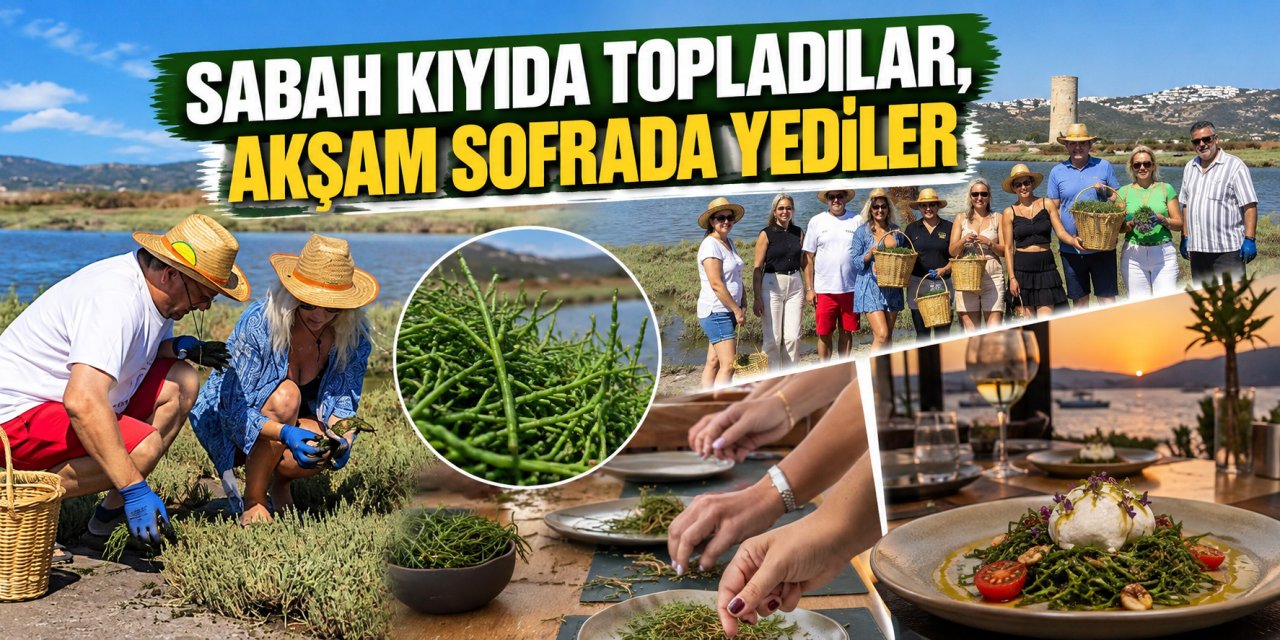 Sabah kıyıda topladılar, akşam sofrada yediler