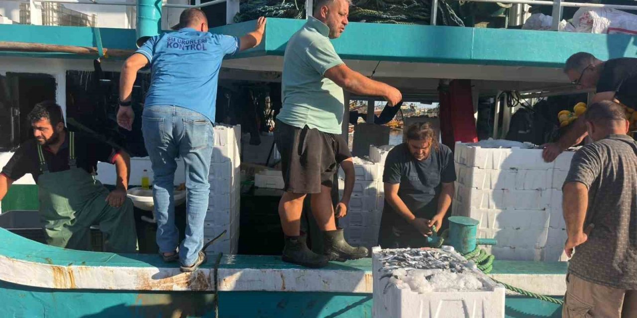 Hamsi avında kota dönemi başladı, denetimler sürüyor