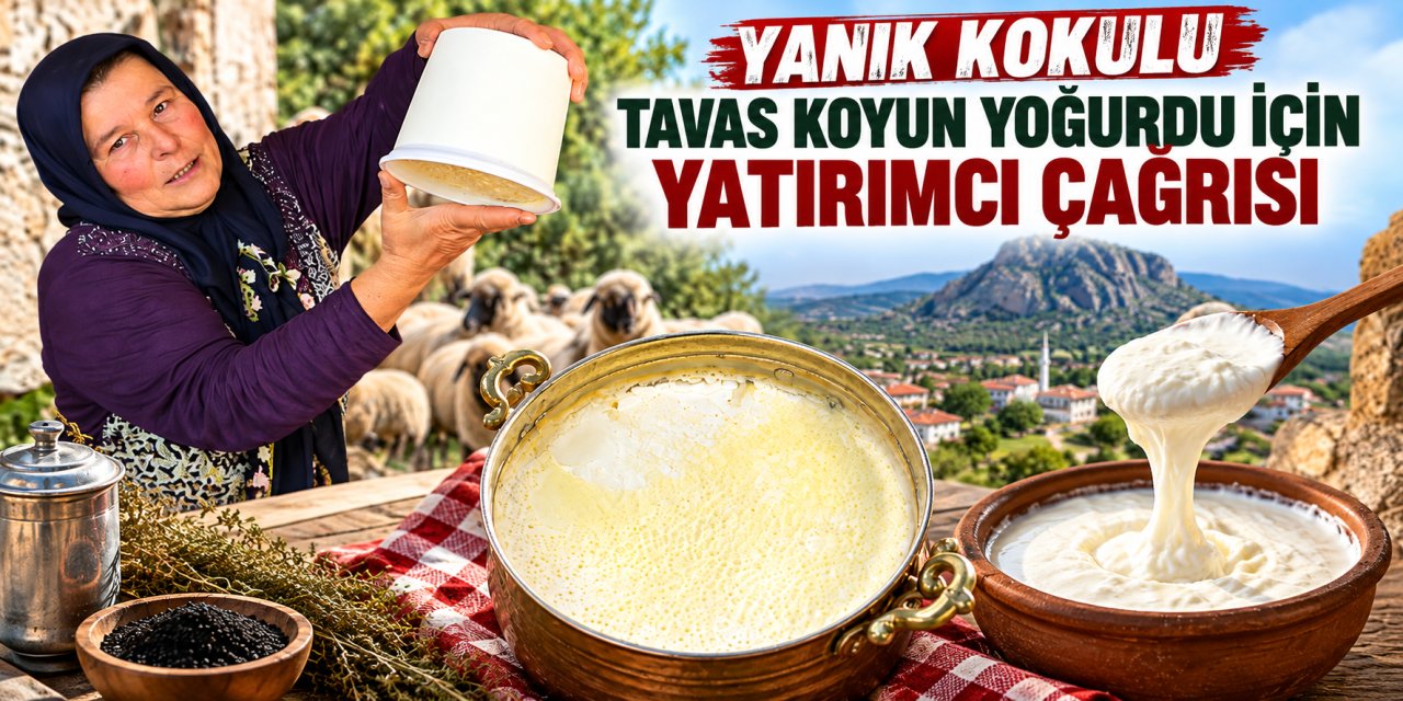 Yanık Kokulu Tavas Koyun Yoğurdu için yatırımcı çağrısı