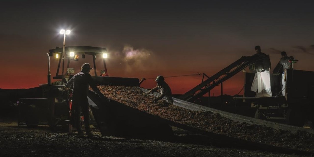 Bağ Bozumu Şenliği Fotoğraf Yarışması’nda ödüller sahiplerini buldu