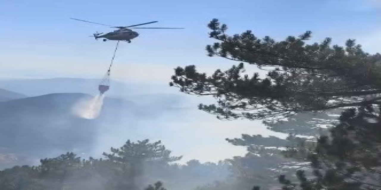 Fethiye’deki orman yangını kontrol altına alındı