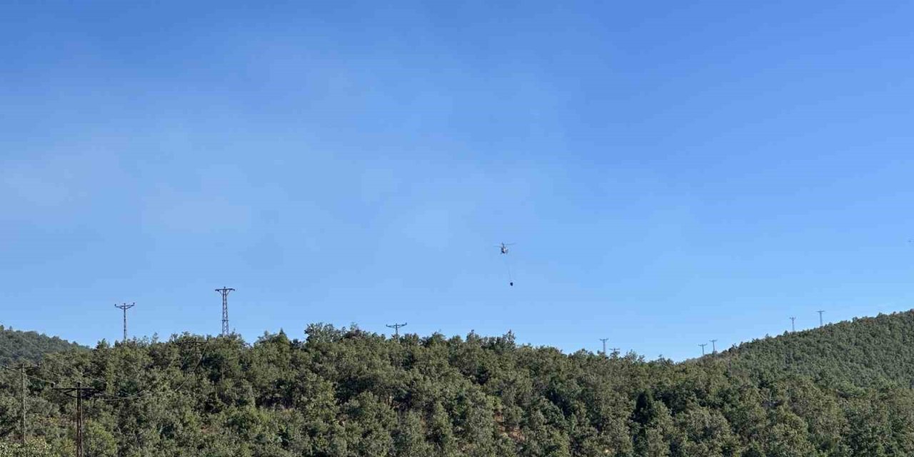 Uşak’ta meşelik alanda çıkan yangın kontrol altına alındı