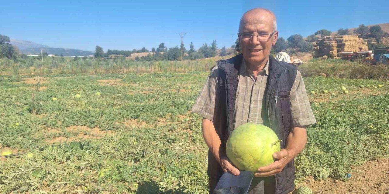 Manisalı çiftçi dede mirası ata tohumu karpuz geleneğini sürdürüyor