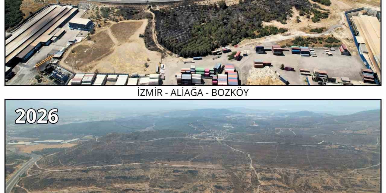 İzmir’de yanan ormanlar yeniden fidanla buluşuyor