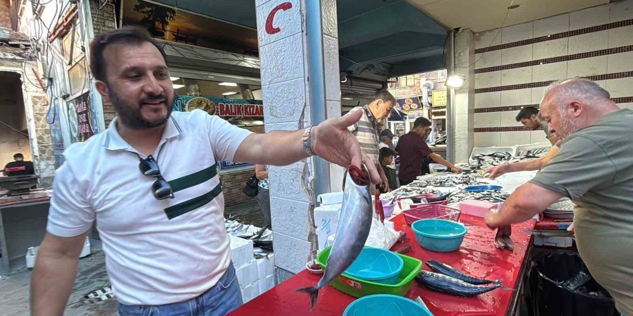 Tavşanlı Balık Pazarı’nda sezon hareketliliği