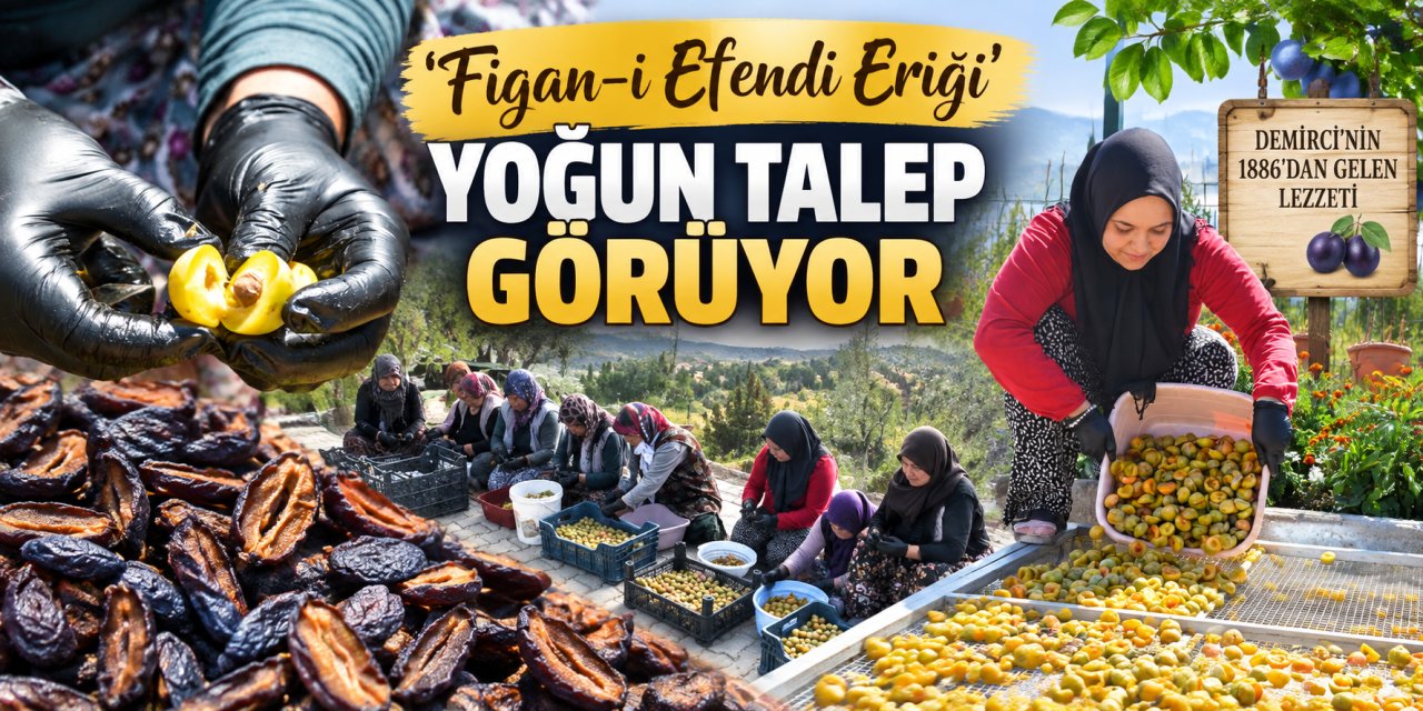 ’Figan-i Efendi Eriği’ yoğun talep görüyor