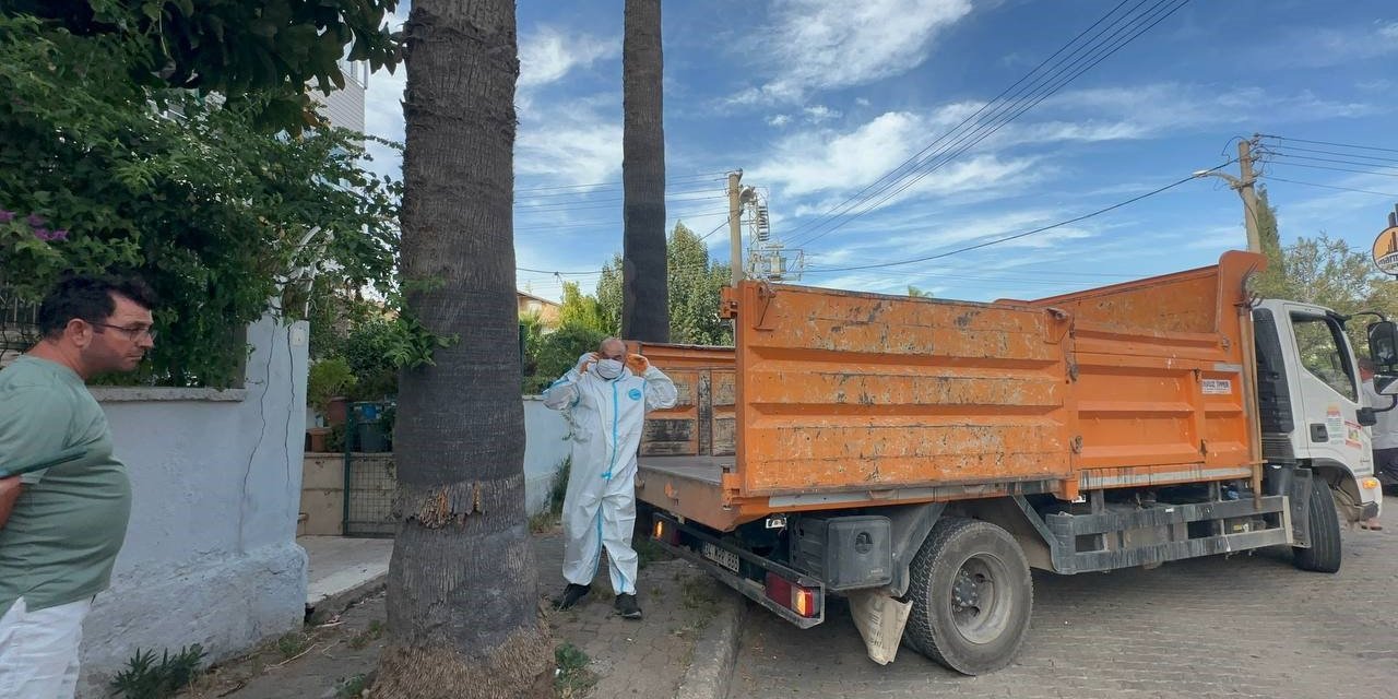 Marmaris’teki çöp evden bir kamyon çöp ve 30’a yakın kedi çıktı