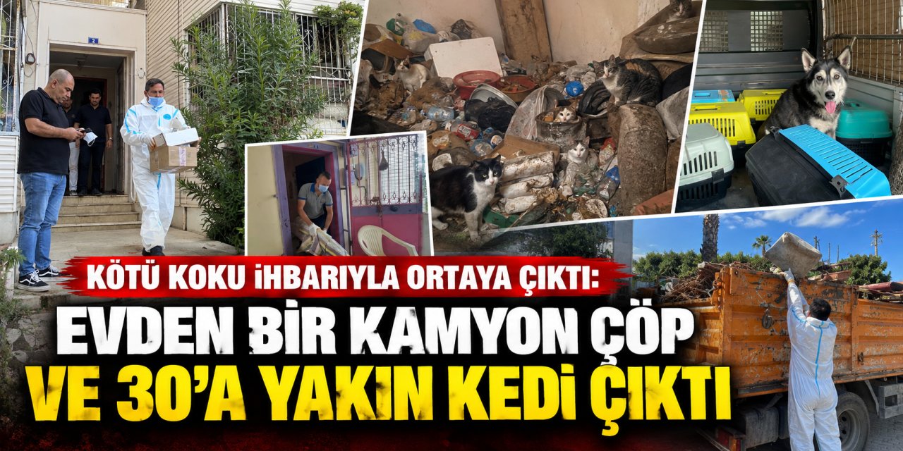 Kötü koku ihbarıyla ortaya çıktı: Evden bir kamyon çöp ve 30’a yakın kedi çıktı