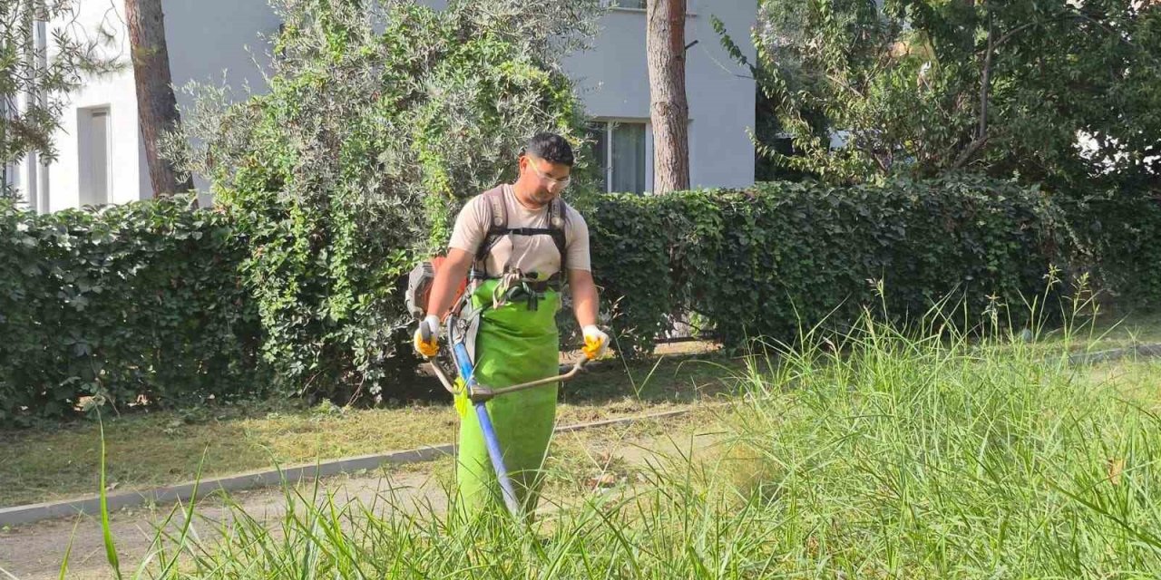 Kuşadası’nda yeşil alanlar bakıma alındı