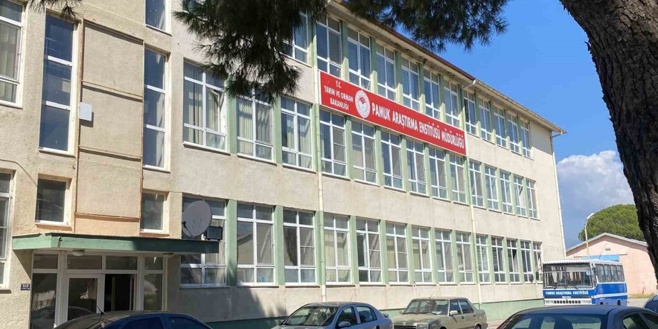 Pamuk Araştırma Enstitüsü’ndeki rüşvet iddiasına operasyon