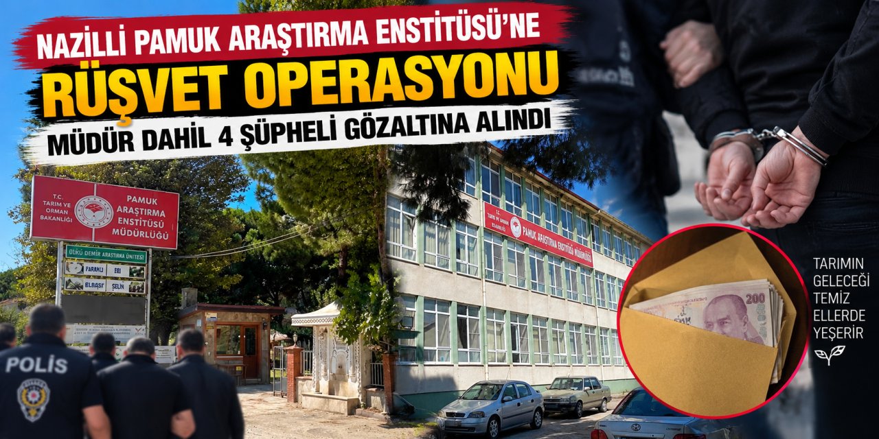 Nazilli Pamuk Araştırma Enstitüsü’ne rüşvet operasyonu: Müdür dahil 4 şüpheli gözaltına alındı