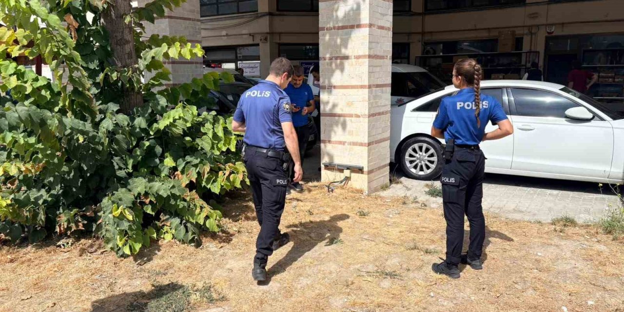 Esnafın beslediği kedi bacakları kesilmiş halde bulundu