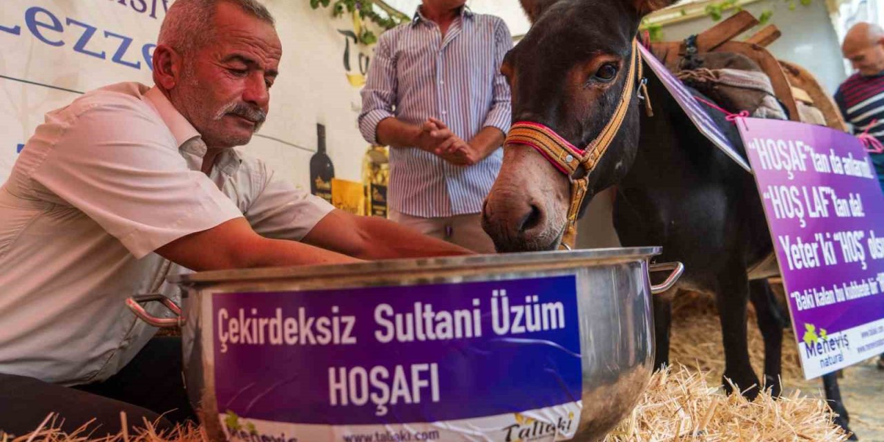 Eşek hoşafa direndi, ortaya renkli görüntüler çıktı