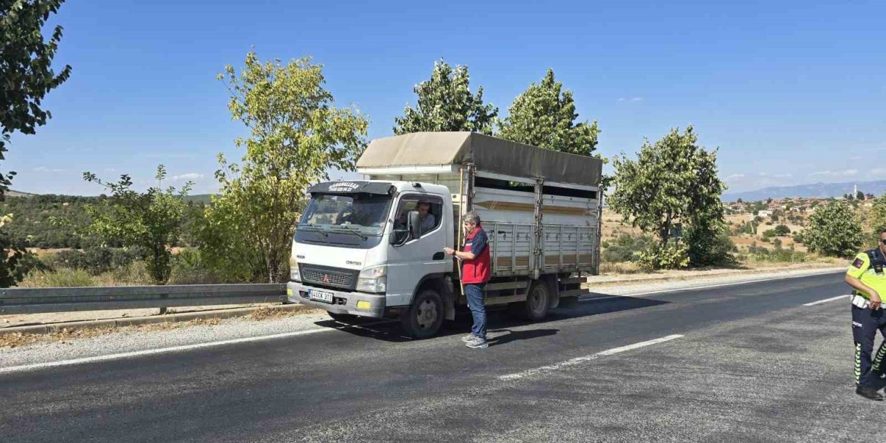 Uşak’ta hayvan hastalıklarına karşı yol kontrolleri sürüyor