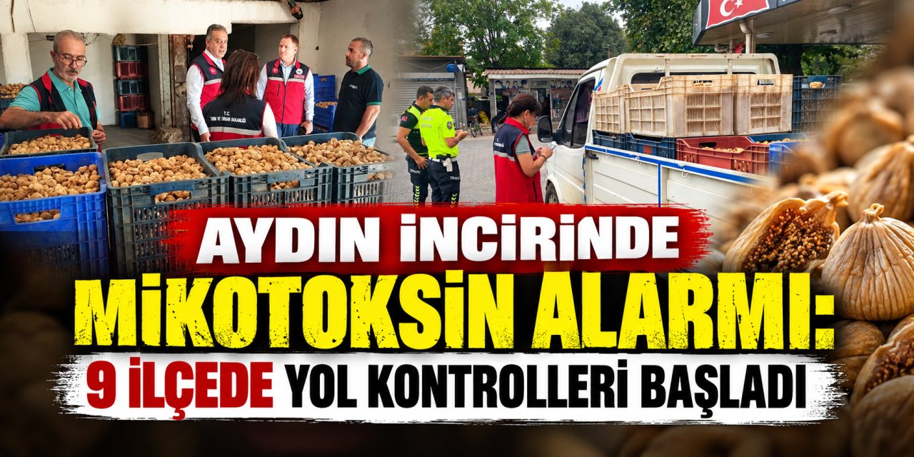 Aydın incirinde mikotoksin alarmı: 9 ilçede yol kontrolleri başladı