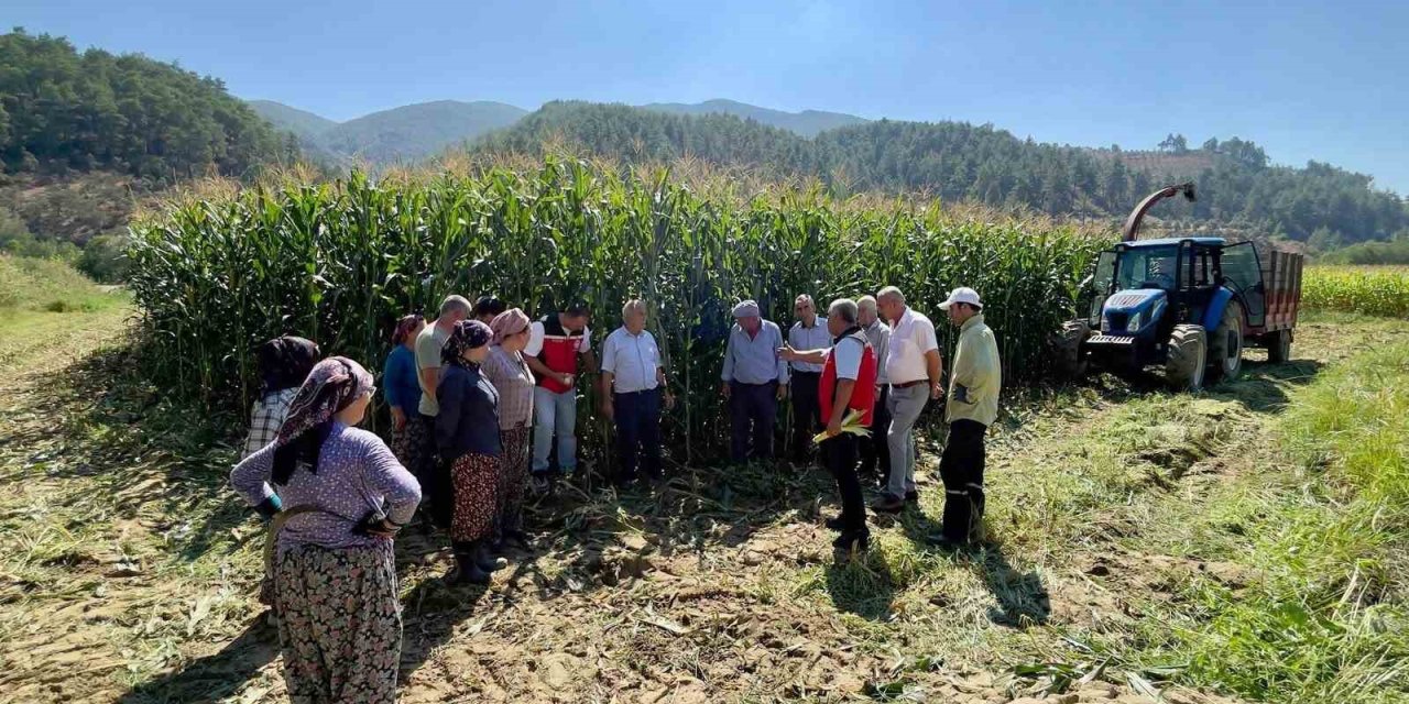 Menteşe’de üreticilere silajlık mısır eğitimi verildi