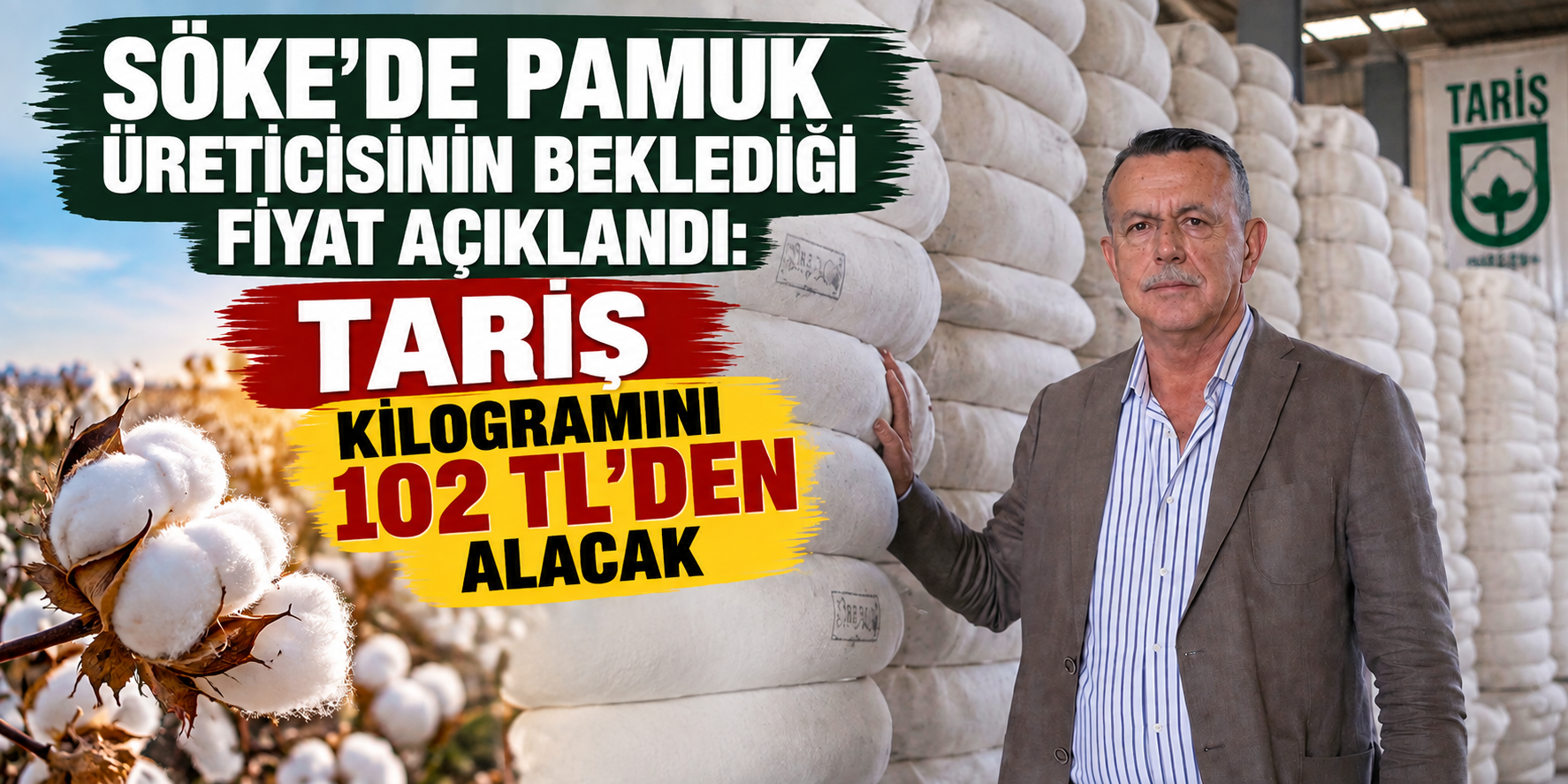 Söke’de pamuk üreticisinin beklediği fiyat açıklandı: TARİŞ kilogramını 102 TL’den alacak