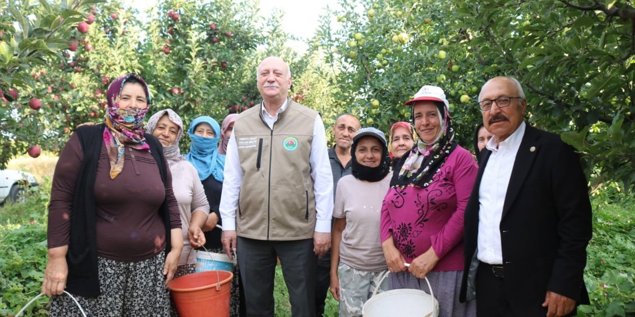 Şemsi Bayraktar’dan Çivril’de elma hasadı yaptı