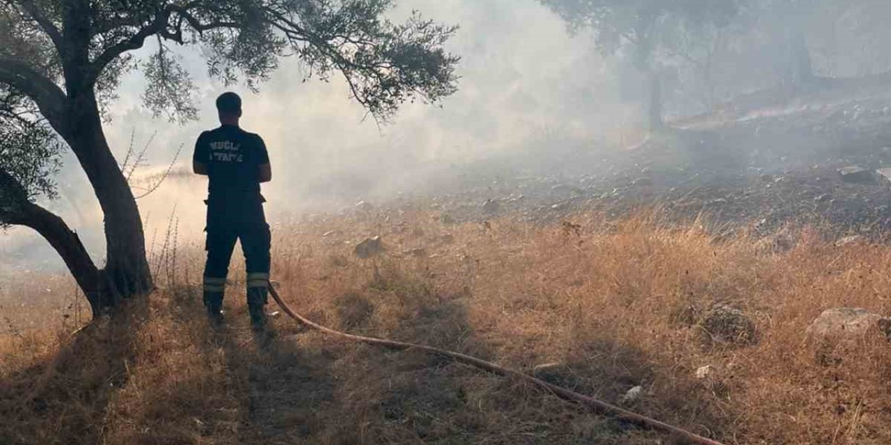 Bodrum-Milas karayolu üzerinde ot yangını