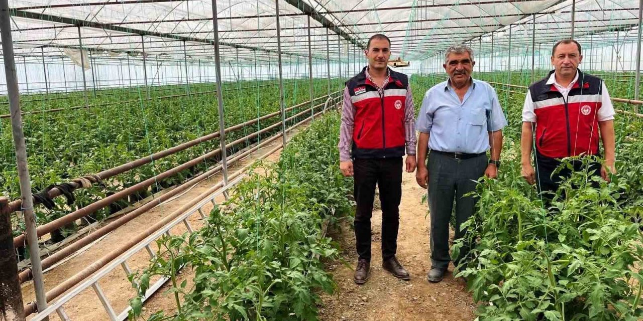 Simav’da seracılık faaliyetleri yerinde incelendi