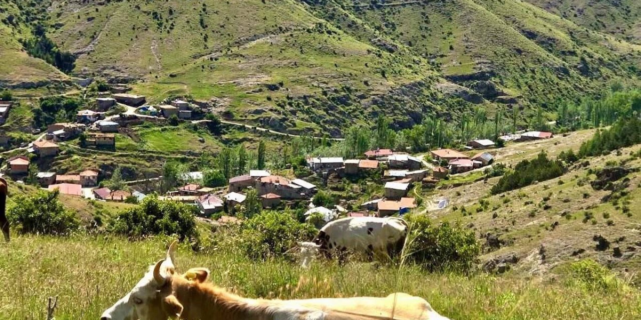 Kırsal dezavantajlı alanlara yönelik çalışmalar sürüyor