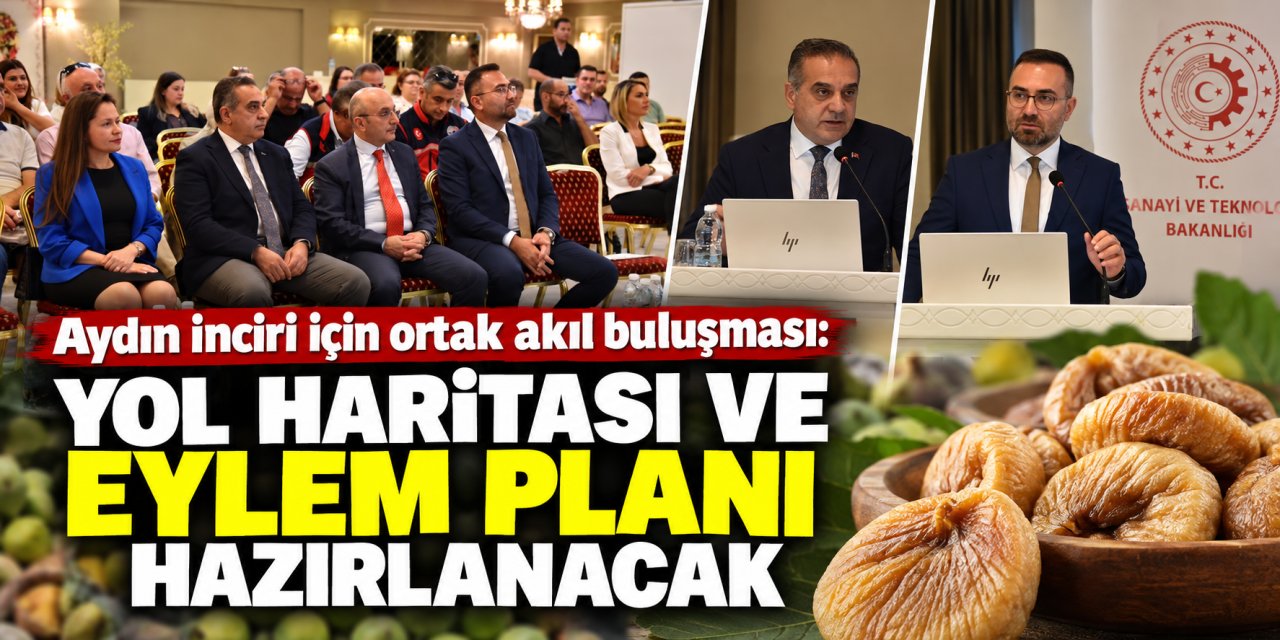 Aydın inciri için ortak akıl buluşması: Yol haritası ve eylem planı hazırlanacak