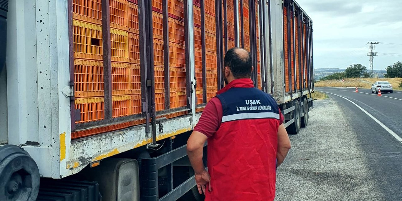 Uşak’ta hayvan hastalıklarına karşı yol kontrol ve denetimler aralıksız devam ediyor
