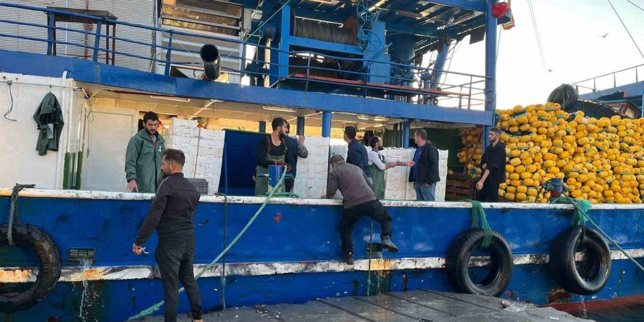 Didim’de hamsi kotası denetimleri sürüyor