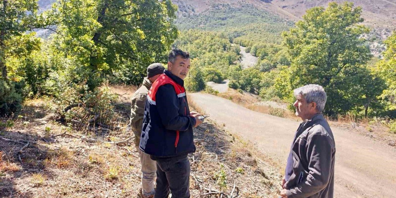 Kaybolan 9 büyükbaş hayvan dron ile bulundu