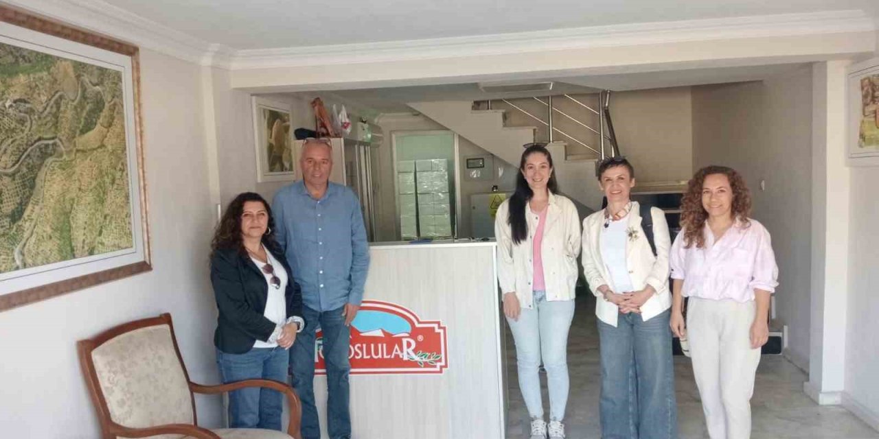 Aydın İnciri’nde ’Coğrafi işaret’ denetimi