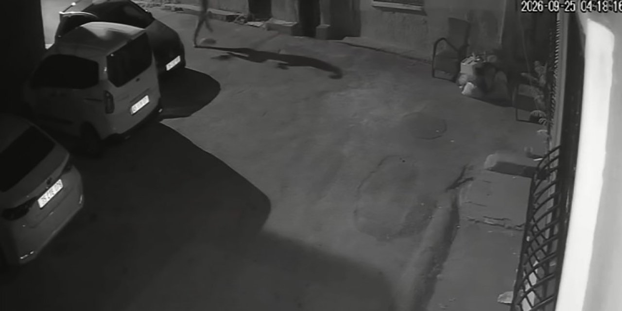 İzmir’de sahibinden köpeğe acımasız tekme