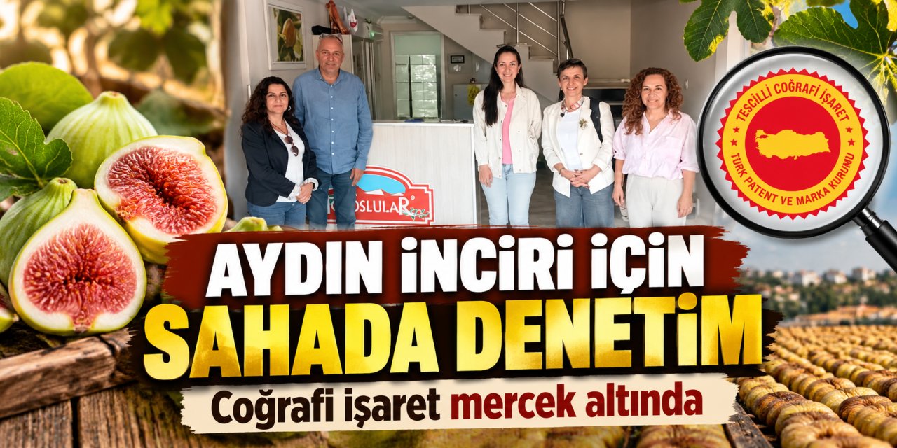 Aydın İnciri için sahada denetim: Coğrafi işaret mercek altında