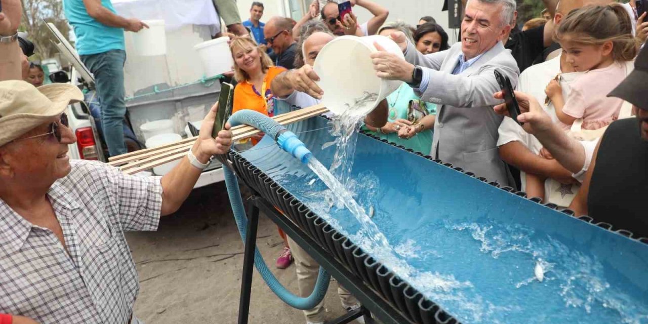 Bodrum’da balık festivali için geri sayım başladı