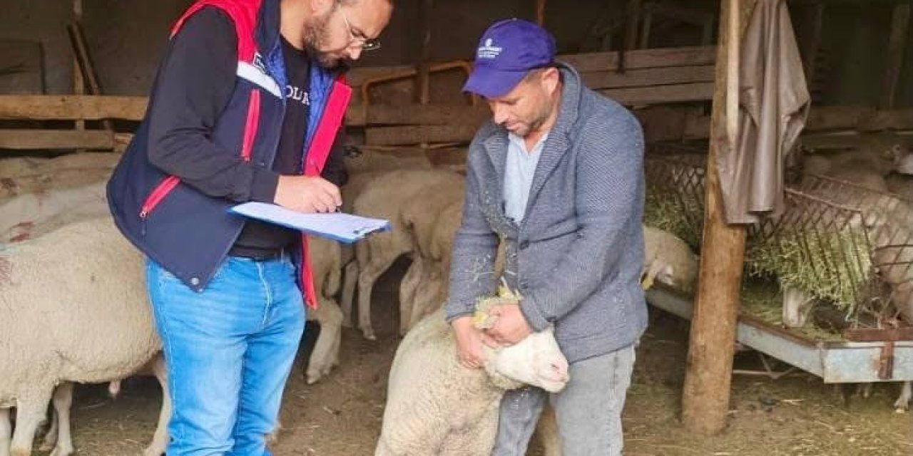 Sürdürülebilir Koyun Projesi çerçevesinde işletme denetimleri sürüyor