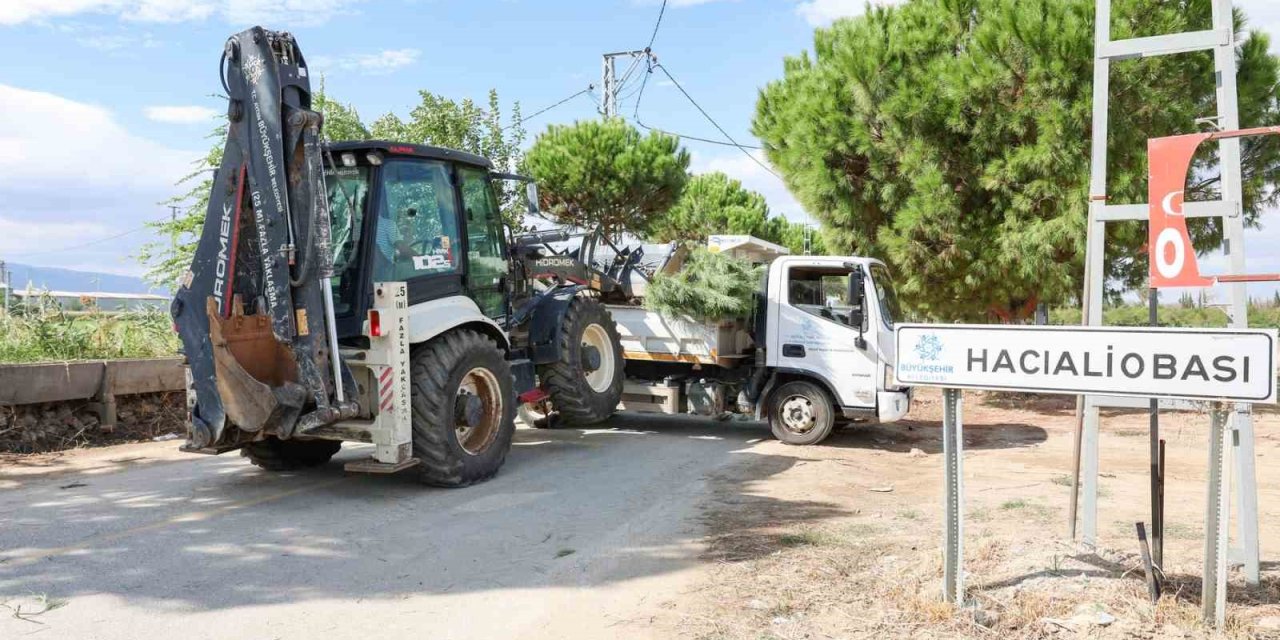 Hacıaliobası’nda yeşil alanlar yenilendi