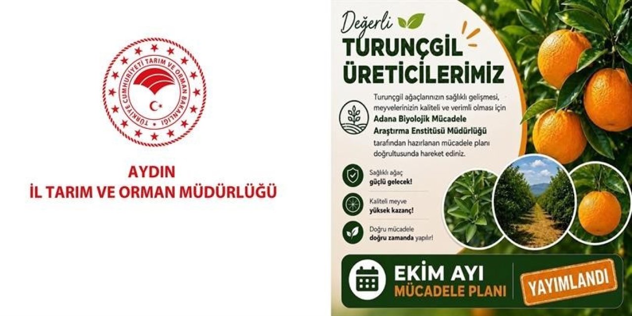 Aydın’da turunçgil bahçeleri için Ekim ayı mücadele planı açıklandı