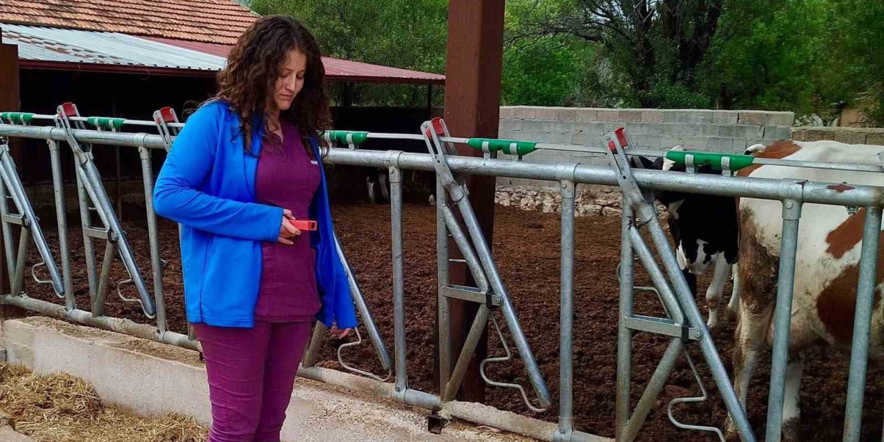 Evciler’de işletmelerin kapasite ve üretim şartları incelendi