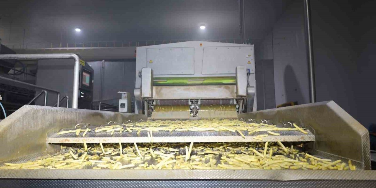 Vali Aktaş patates üretimi tesisini gezdi
